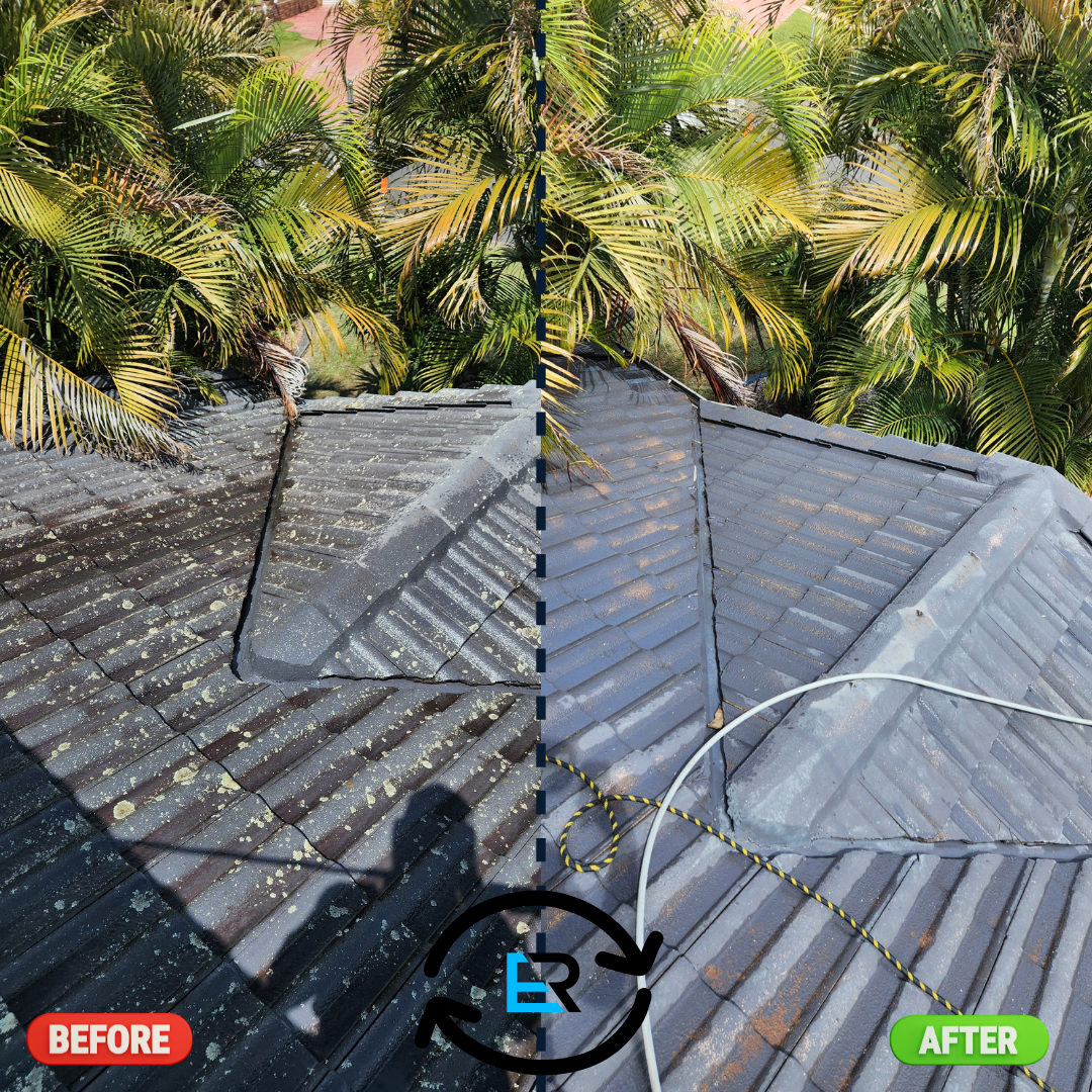 Roof Cleaning Services Near Me – Ever Ready Solutions 