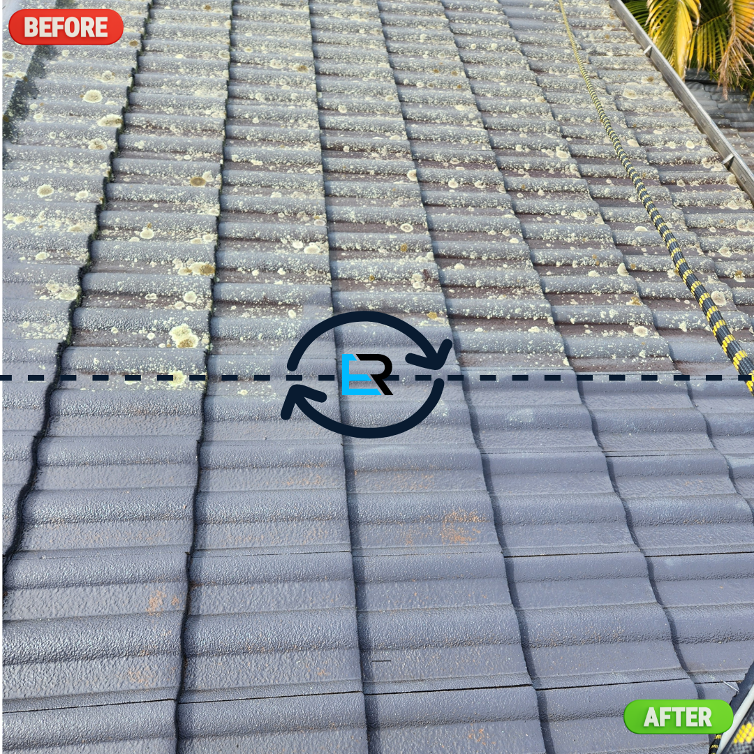 Roof Cleaning Services Near Me – Ever Ready Solutions 