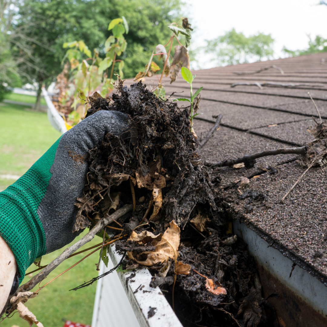 Gutter Cleaning Services Near Me – Ever Ready Solutions 