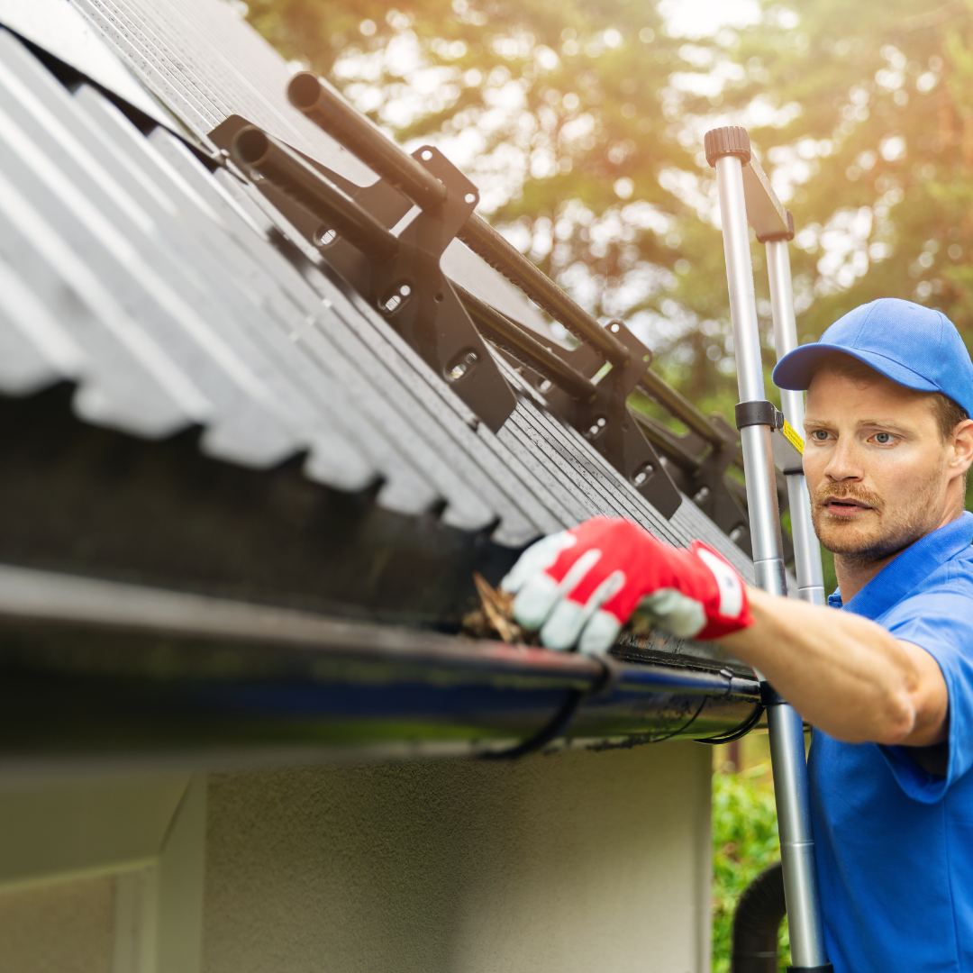 Gutter Cleaning Services Near Me – Ever Ready Solutions 