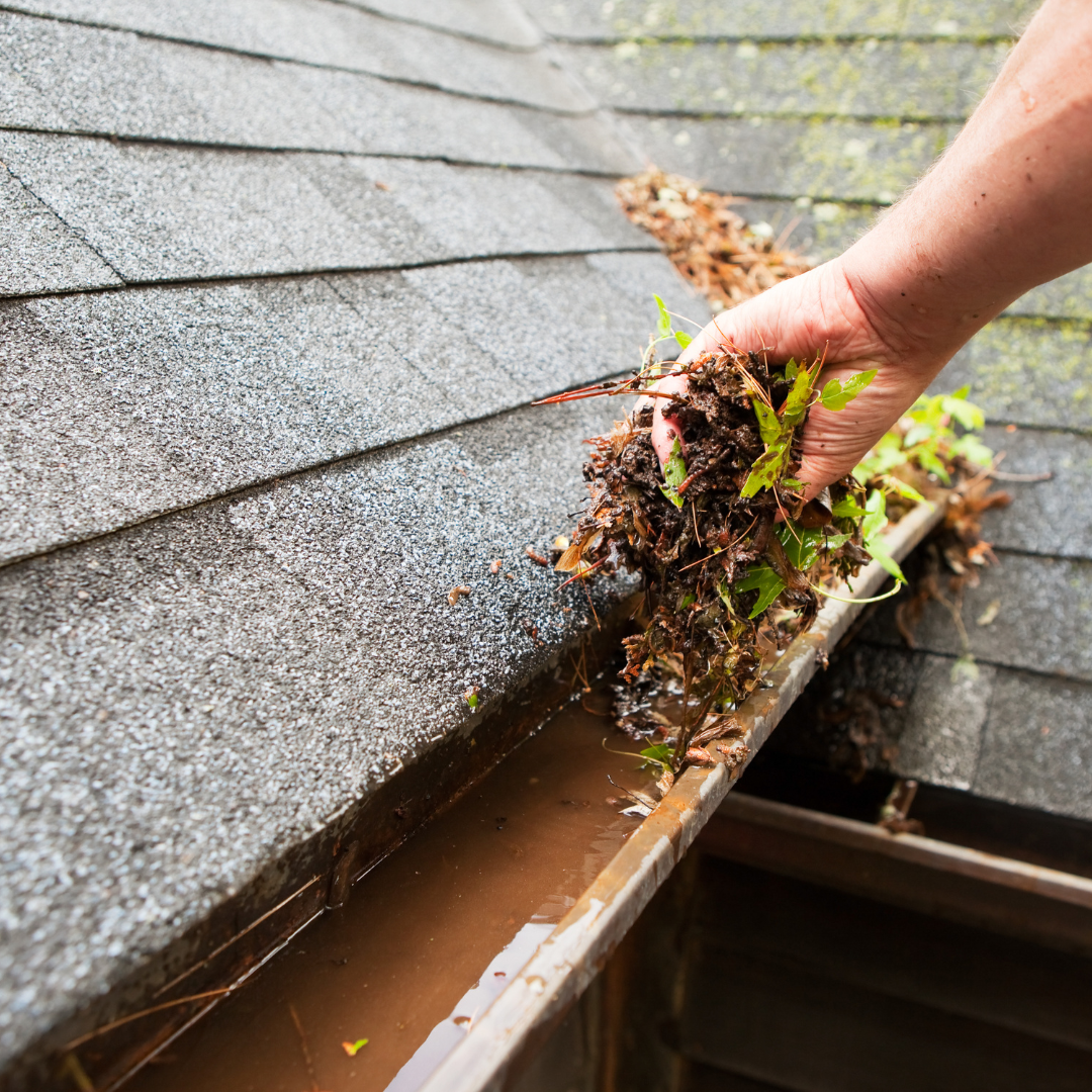 Gutter Cleaning Services Near Me – Ever Ready Solutions 