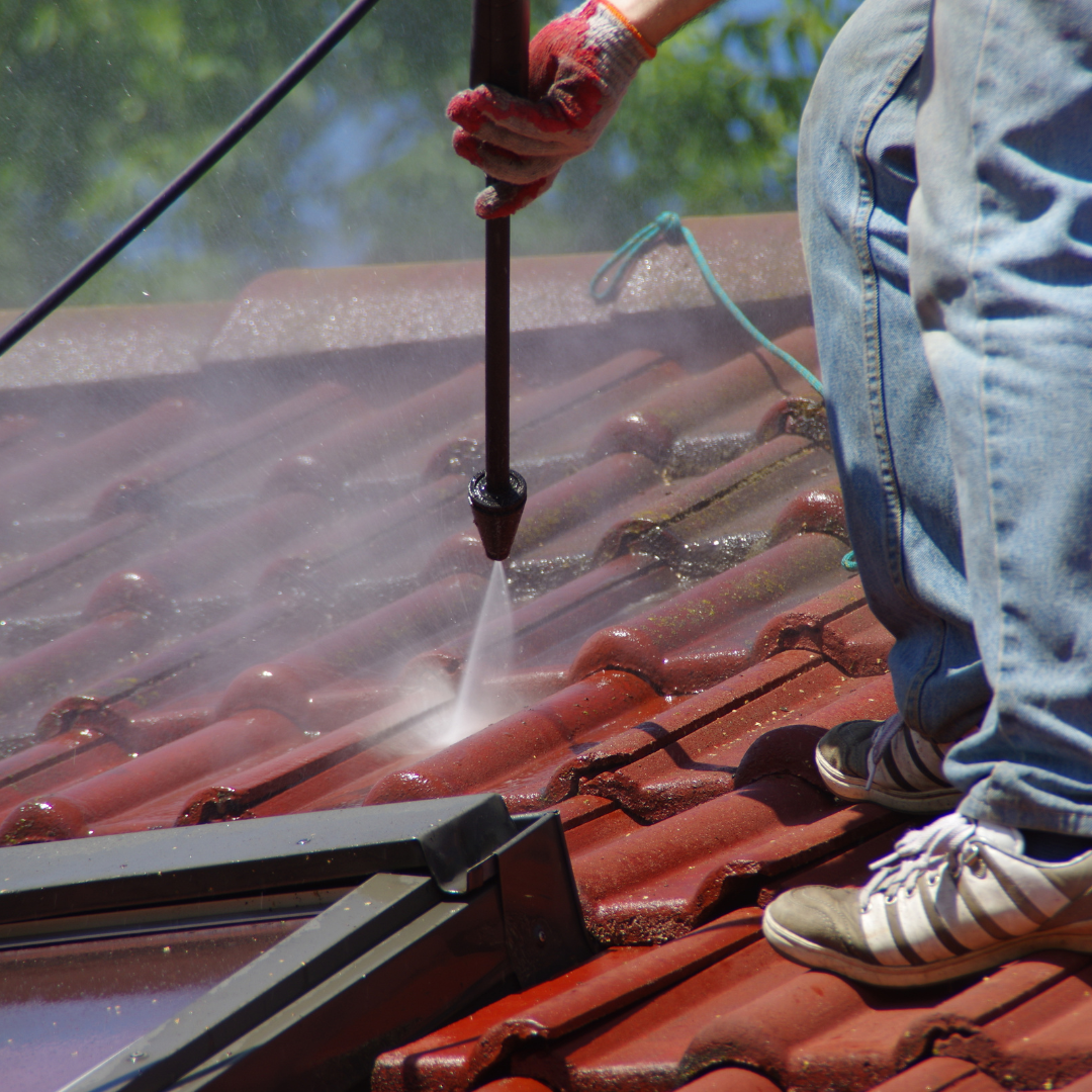 Roof Cleaning Services Near Me – Ever Ready Solutions 