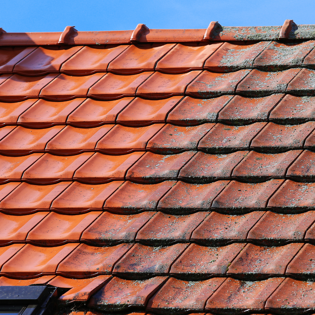 Roof Cleaning Services Near Me – Ever Ready Solutions 