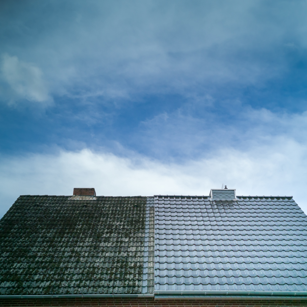 Roof Cleaning Services Near Me – Ever Ready Solutions 