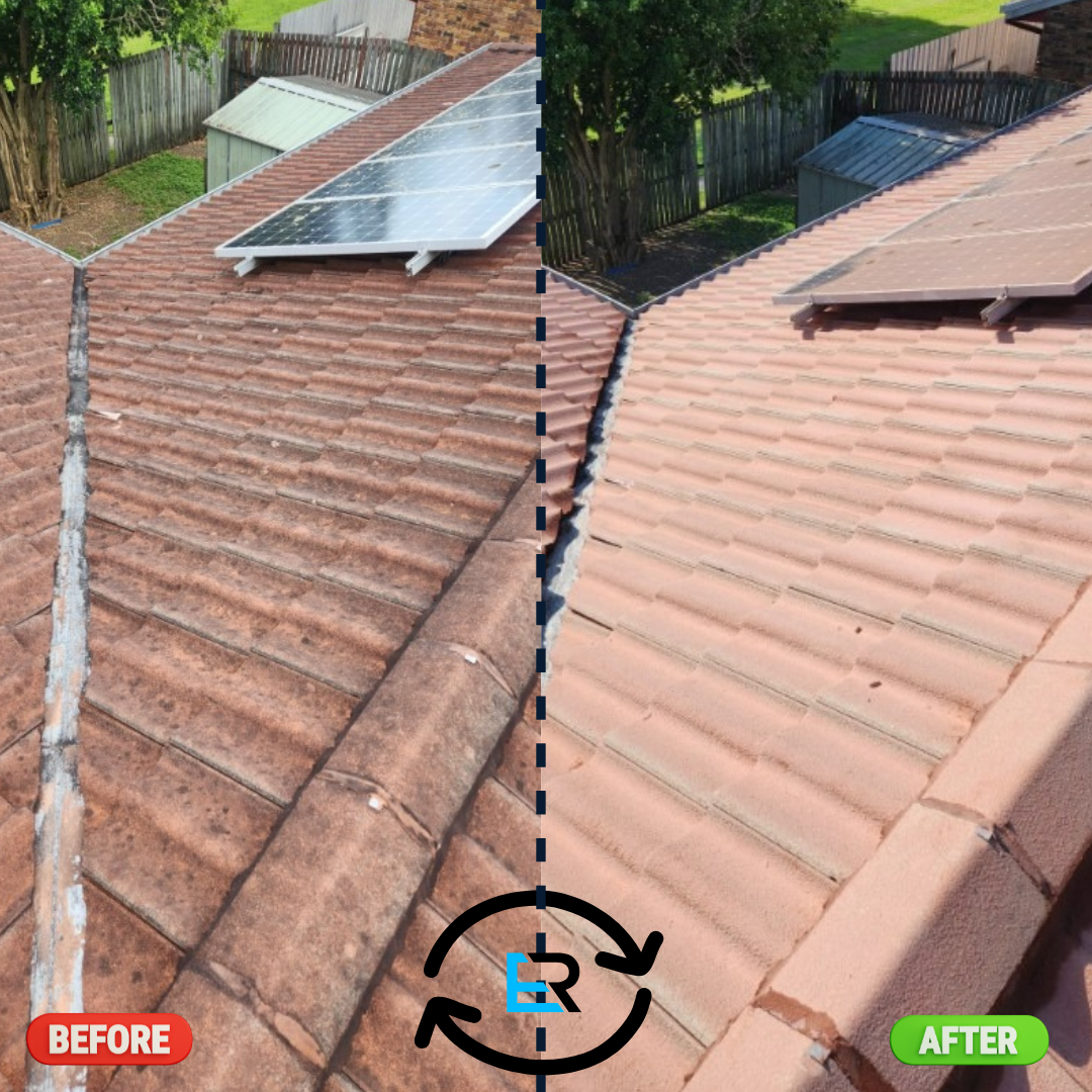 Roof Cleaning Services Near Me – Ever Ready Solutions 