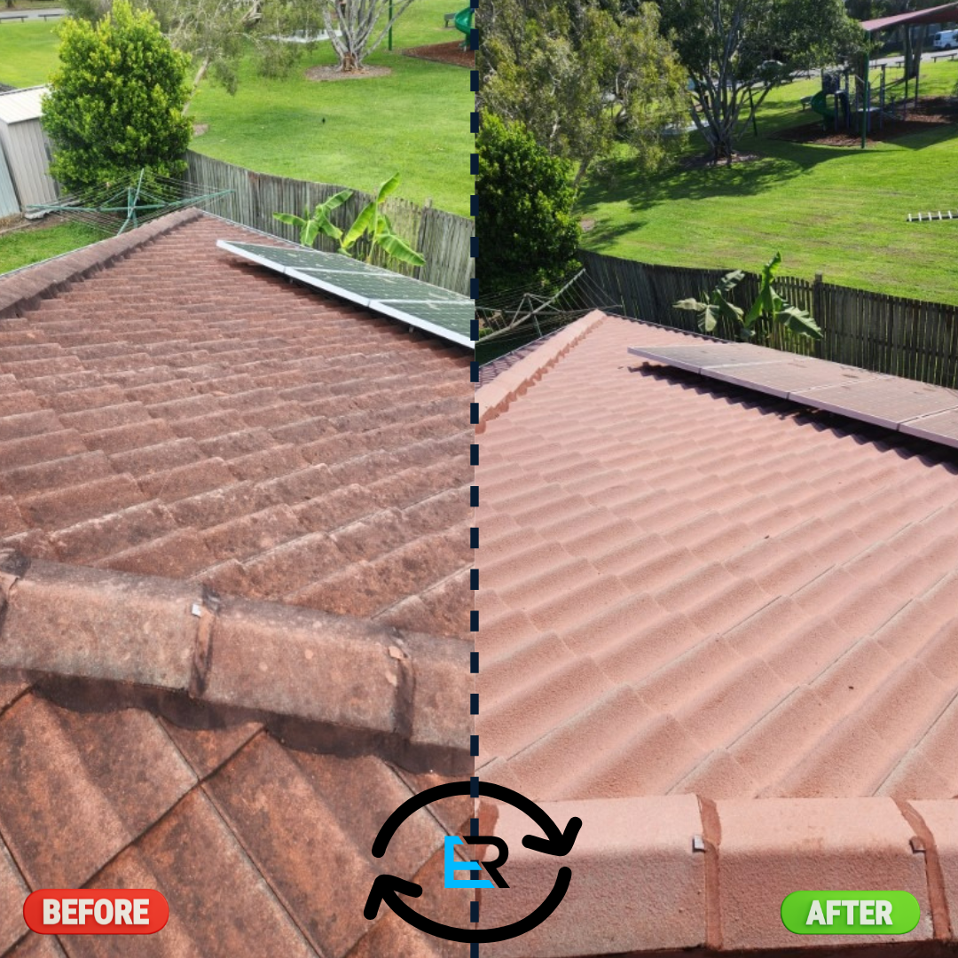 Roof Cleaning Services Near Me – Ever Ready Solutions 