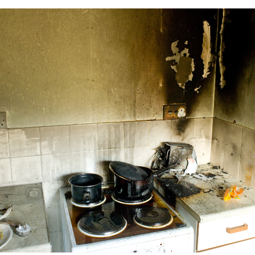 Mould Removal Services Near Me – Ever Ready Solutions 