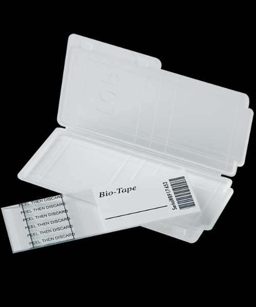 Mould Removal Services Near Me – Ever Ready Solutions 