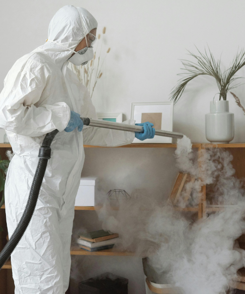 Mould Removal Services Near Me – Ever Ready Solutions