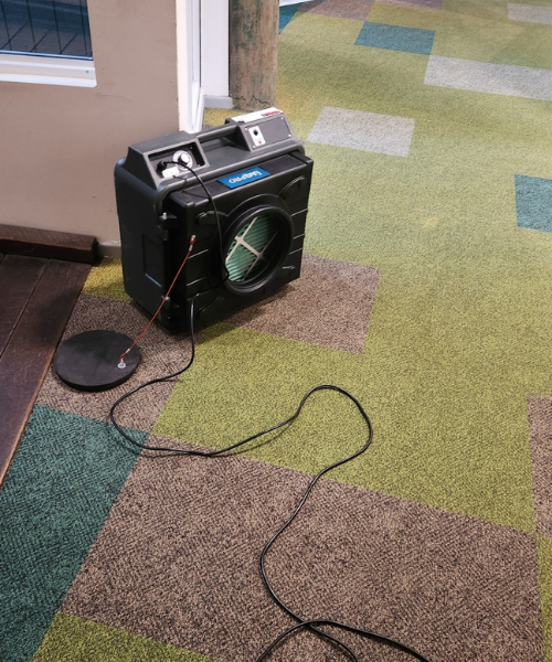 Bin Cleaning Services Brisbane