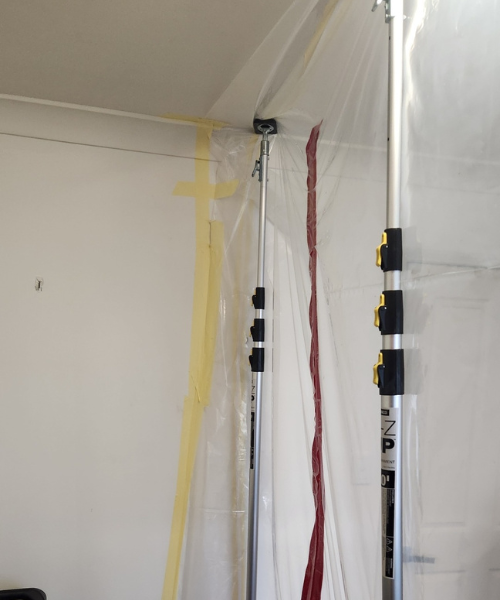 Mould Removal Services Near Me – Ever Ready Solutions