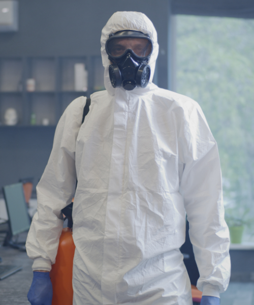 Mould Removal Services Near Me – Ever Ready Solutions