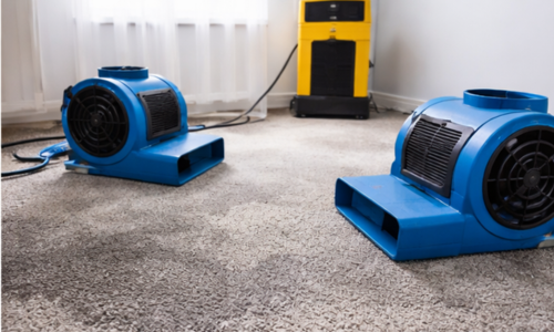 air movers drying carpet after water damage restoration
