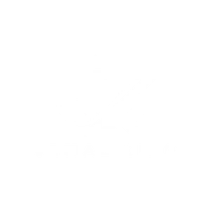 Jemal King
