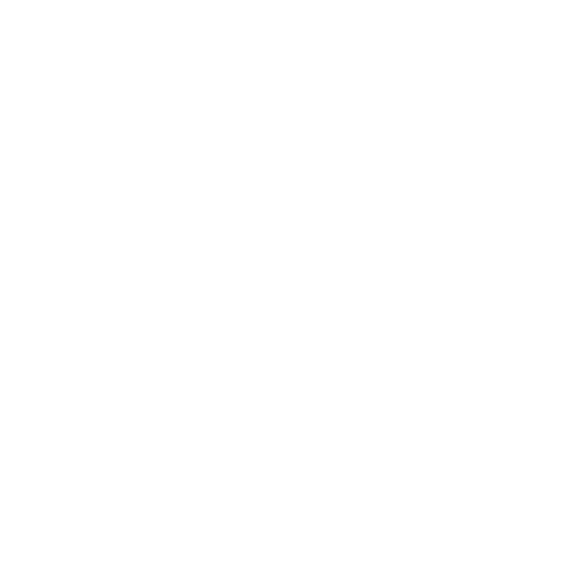 Navigator Logo