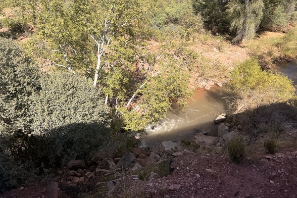The Verde River winding through green vegetation in the canyon The Verde River winding through green vegetation in the canyon