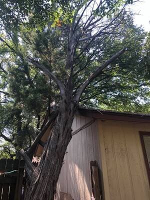 {{ custom_values.service_3 }} in {{custom_values.area_3})