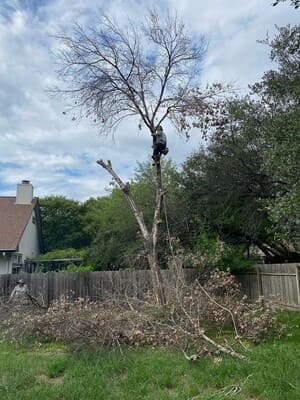 {{ custom_values.service_3 }} in {{custom_values.area_3})