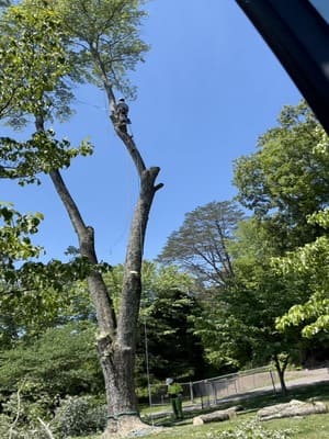 {{ custom_values.service_2 }} in {{custom_values.area_2})