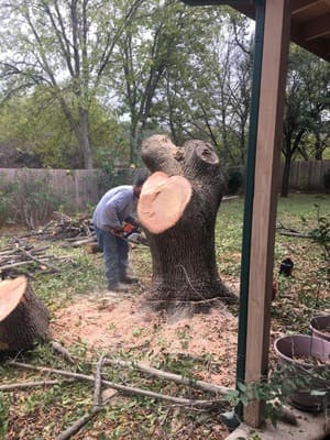 {{ custom_values.service_2 }} in {{custom_values.area_2})