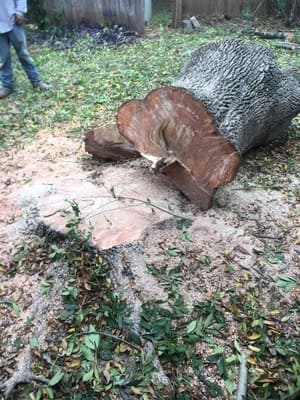 {{ custom_values.service_3 }} in {{custom_values.area_3})