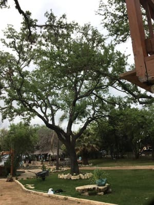 {{ custom_values.service_1 }} in {{custom_values.area_2})