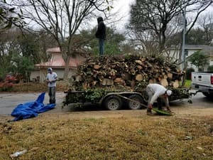 Stump Grinding in Austin