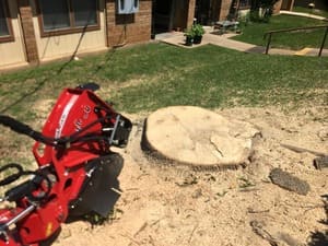 {{ custom_values.service_2 }} in {{custom_values.area_2})