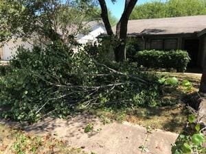 {{ custom_values.service_4 }} in {{custom_values.area_2})