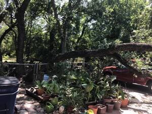 {{ custom_values.service_1 }} in {{custom_values.area_5})