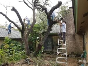 {{ custom_values.service_3 }} in {{custom_values.area_3})