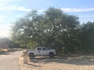 Stump Grinding in San Antonio