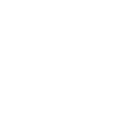 Tree Service in Austin