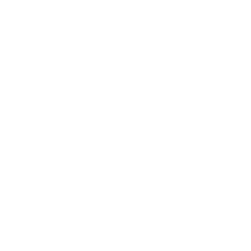 Vision