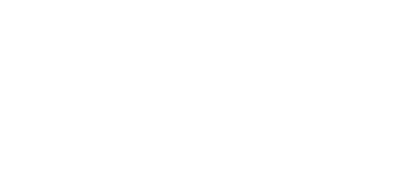 FS8