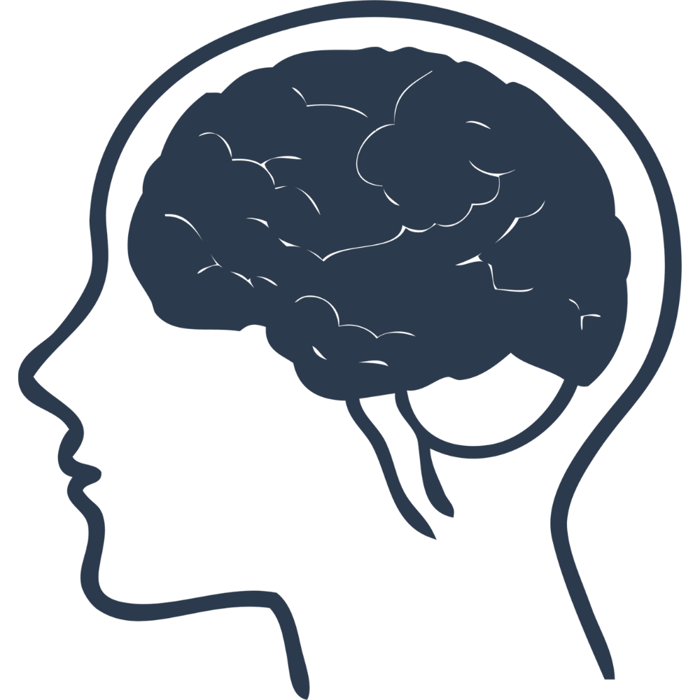 Brain icon