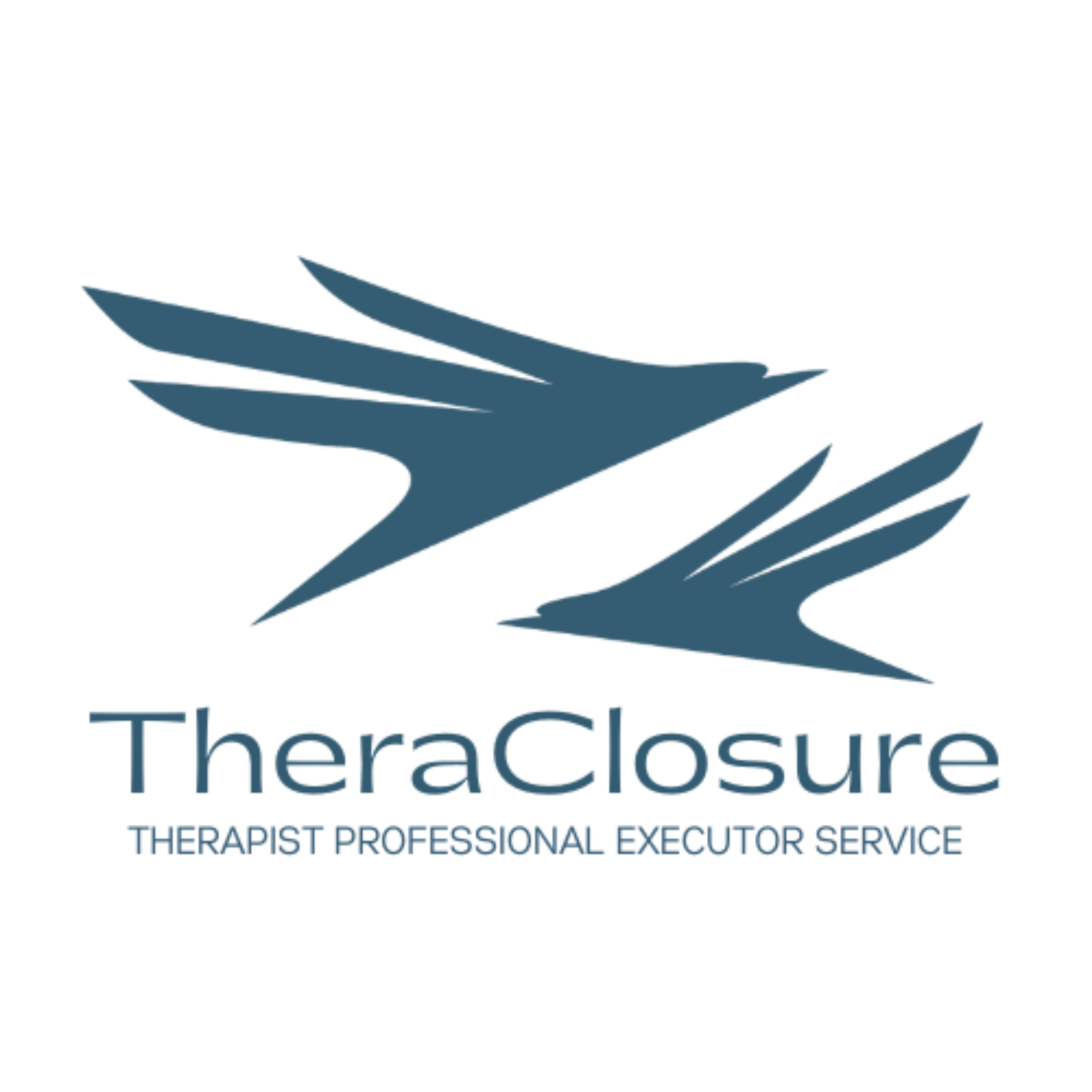 TheraClosure