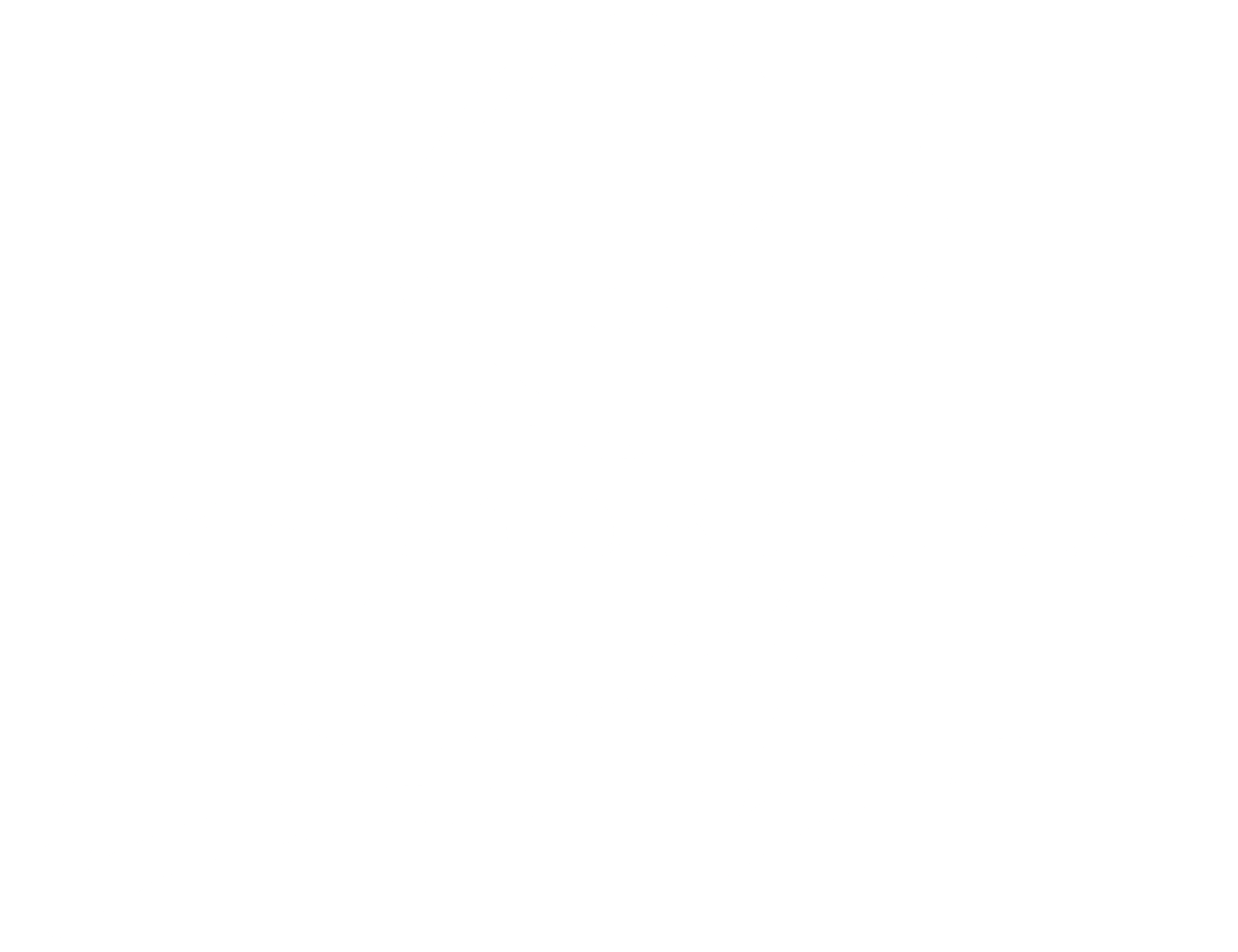 Life Story Lane Logo White