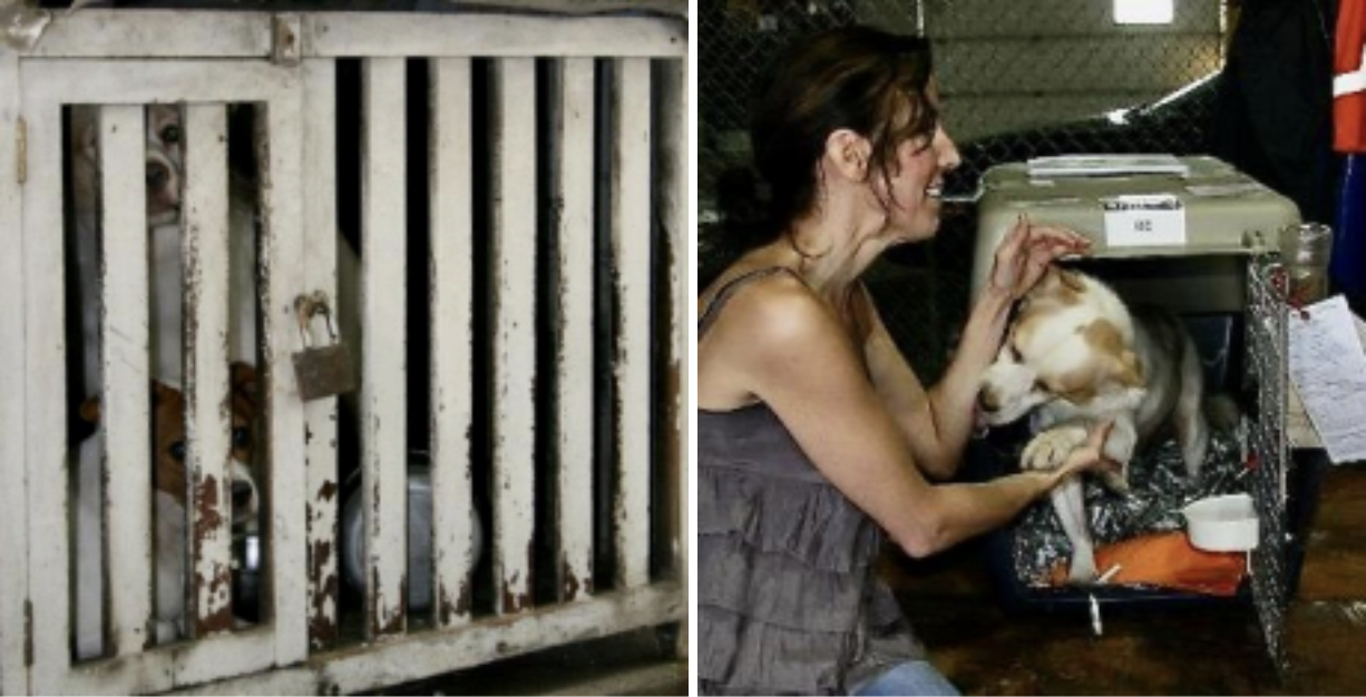Beo spent his first year locked Beo sharing a heart warming moment with Debora in this back-alley cage in Hanoi, Vietnam.