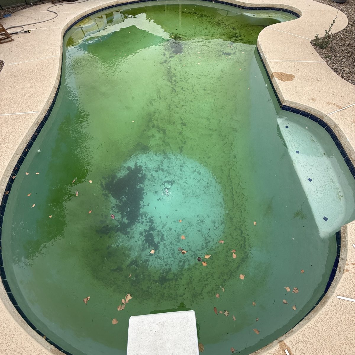 Green pool