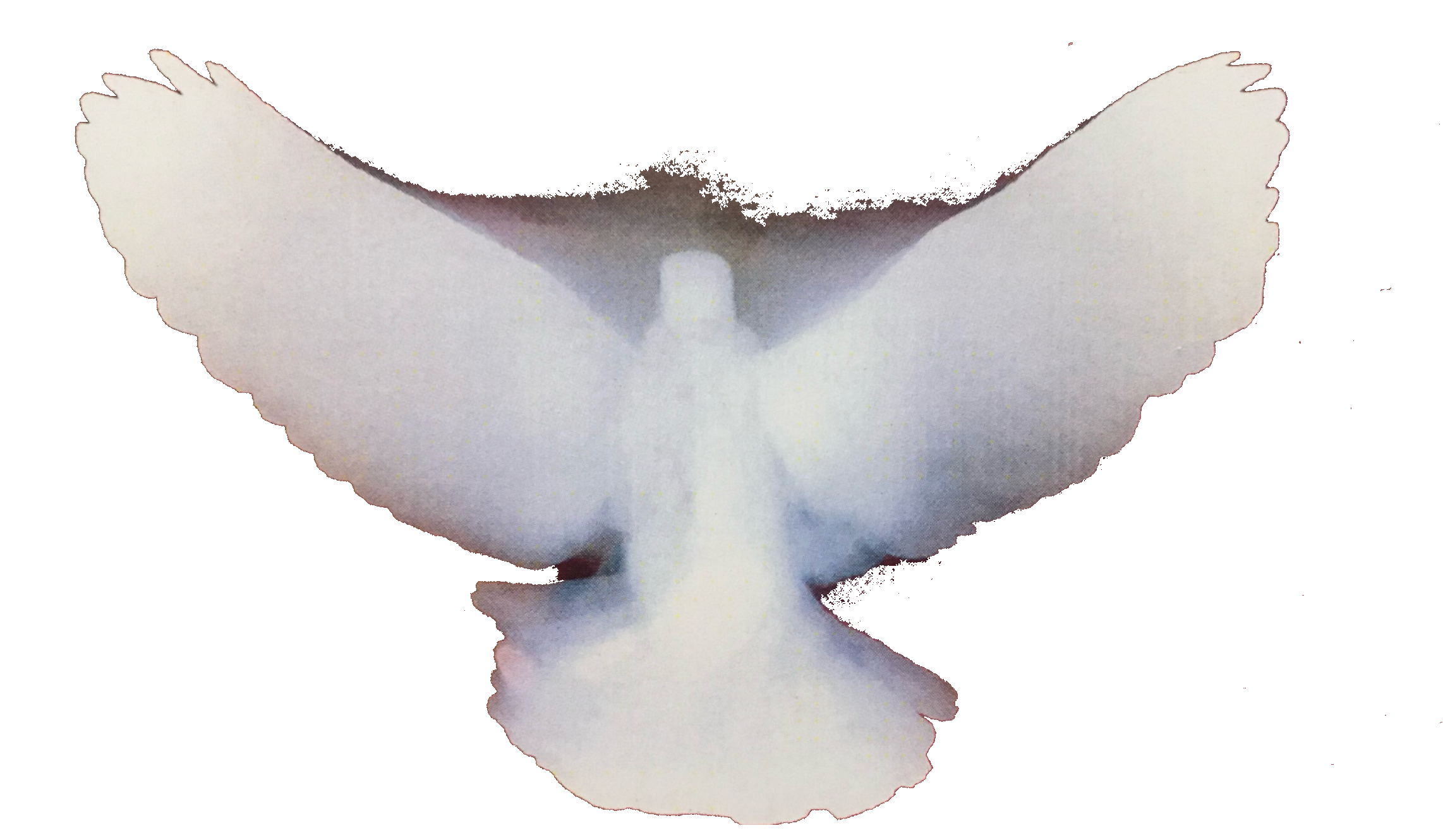 JMJ Divine Inspirations