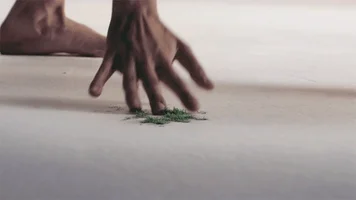 Your Team Feels Proud