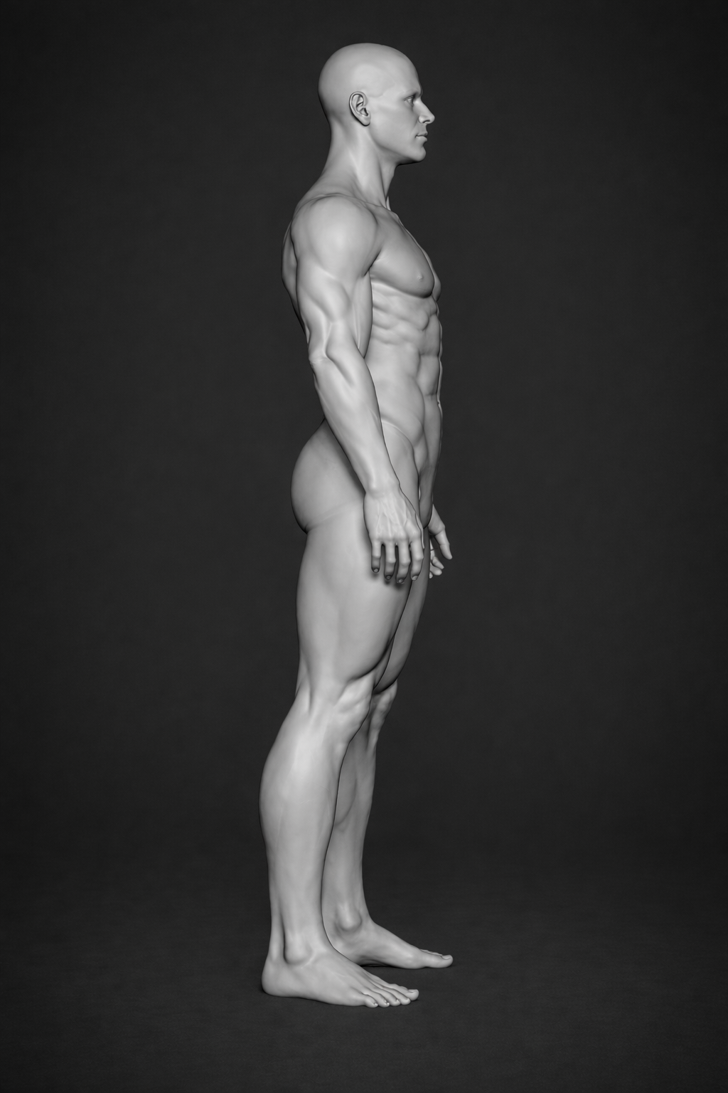 Right side body view