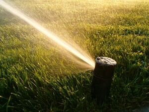 landscaping in Northwest Oklahoma City