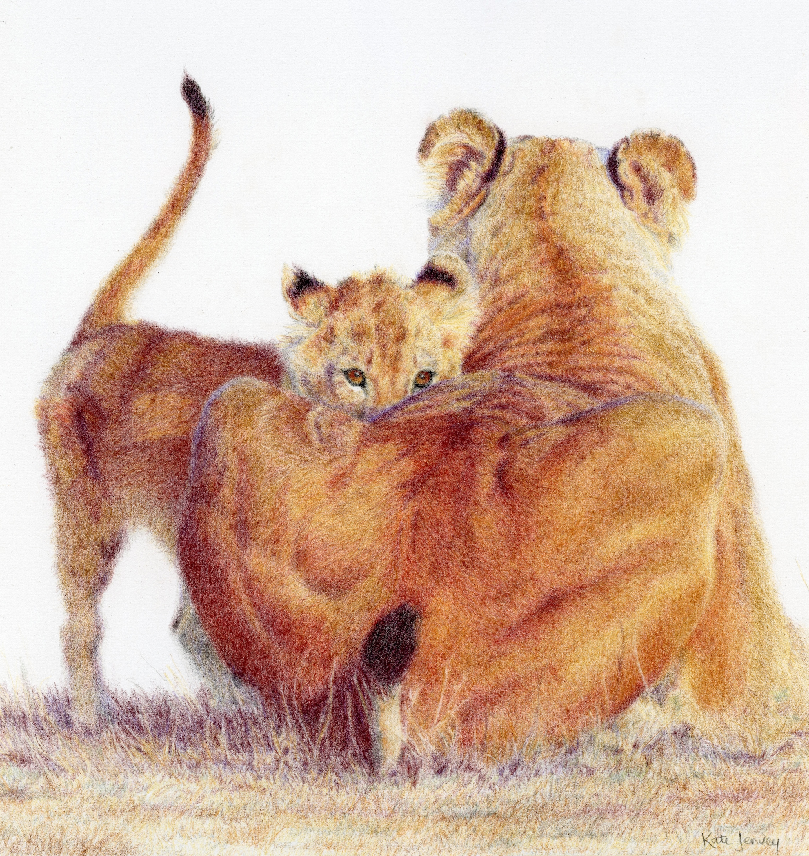 Coloured pencil drawing of lioness and cub Coloured pencil drawing of lioness and cub