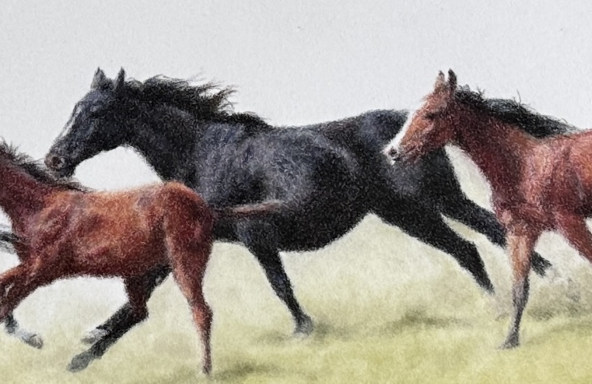 image of black horse running in coloured pencil