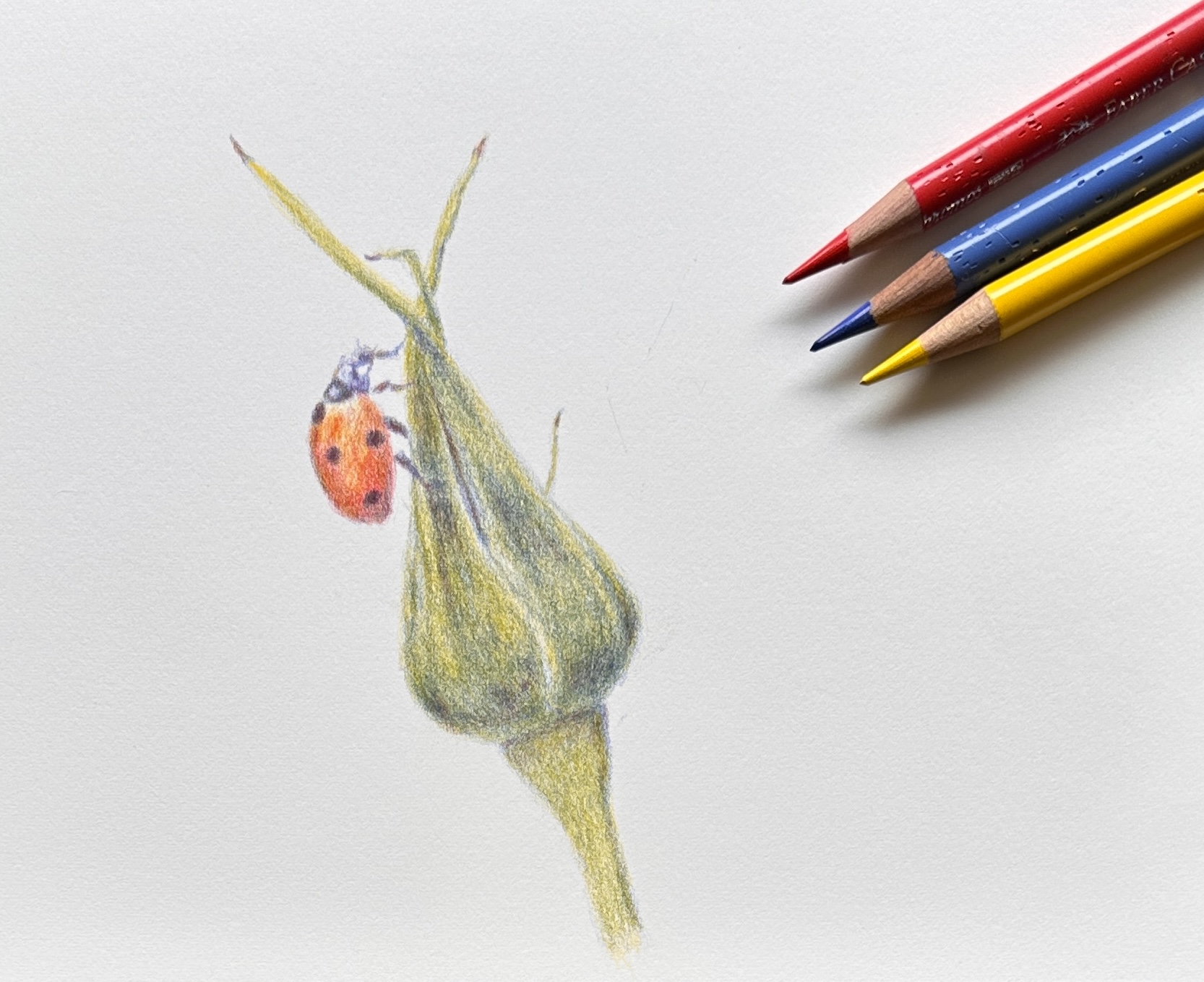 Coloured pencil drawing using three primary colours