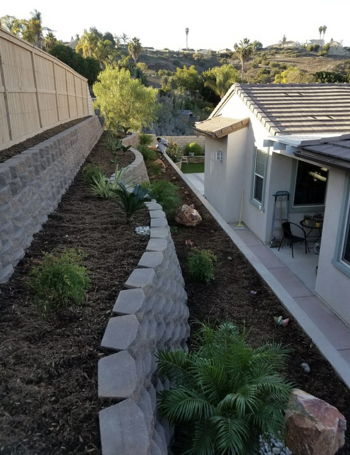 Curved stone retaining wall terraces with palms and fresh landscaping on a hillside lot