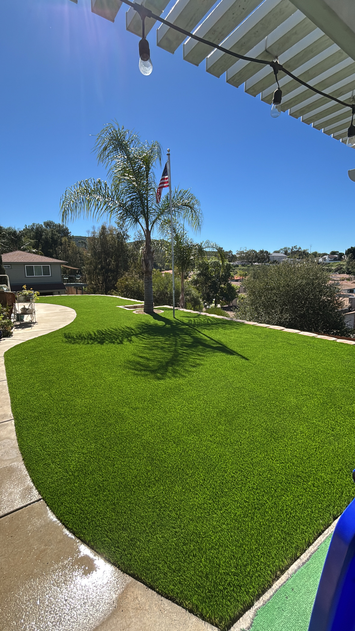 Hillside backyard lawn with artificial turf, palm tree, and flagpole
