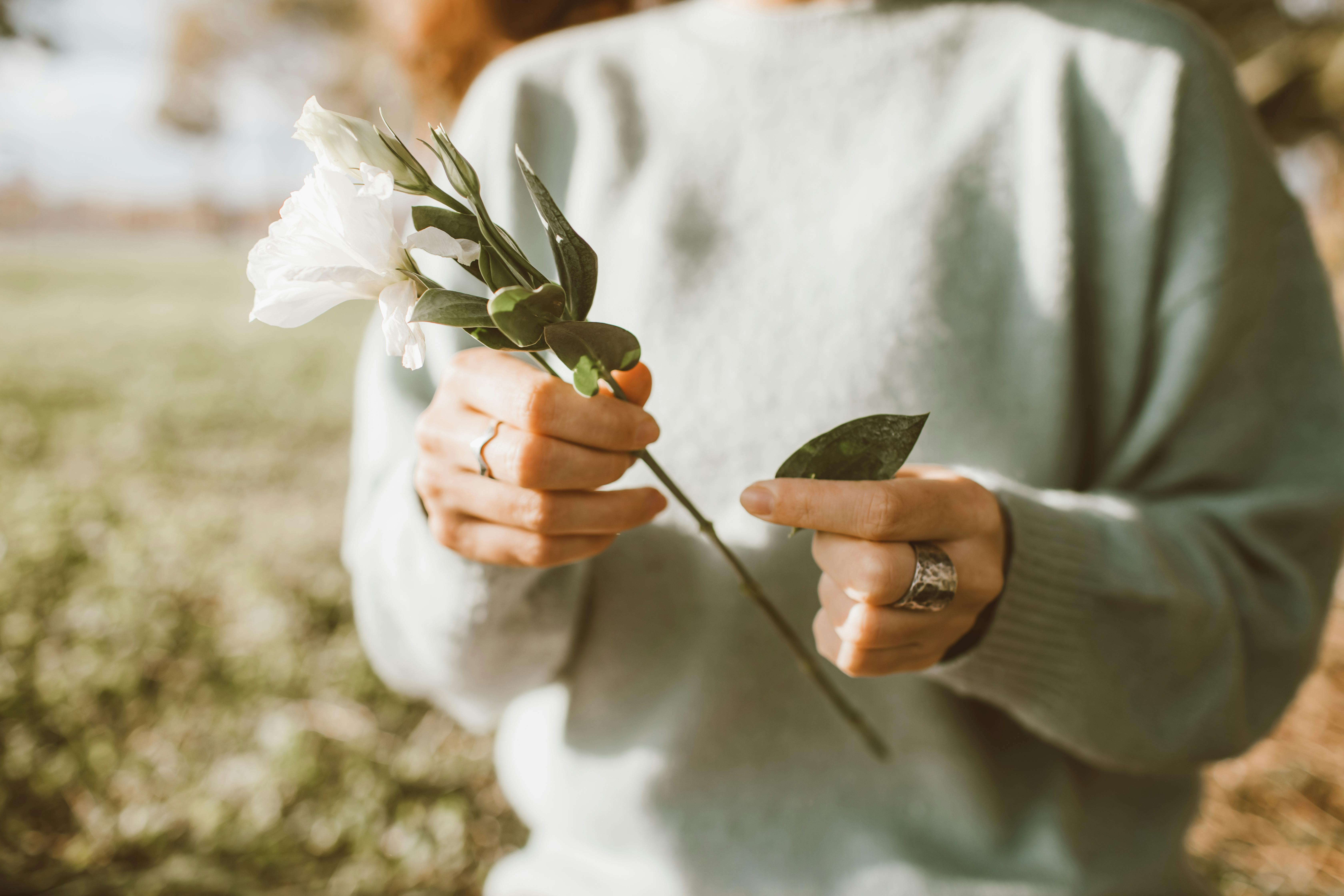When Life Breaks You Open — What Rebuilds You From the Inside | Energy of Creation